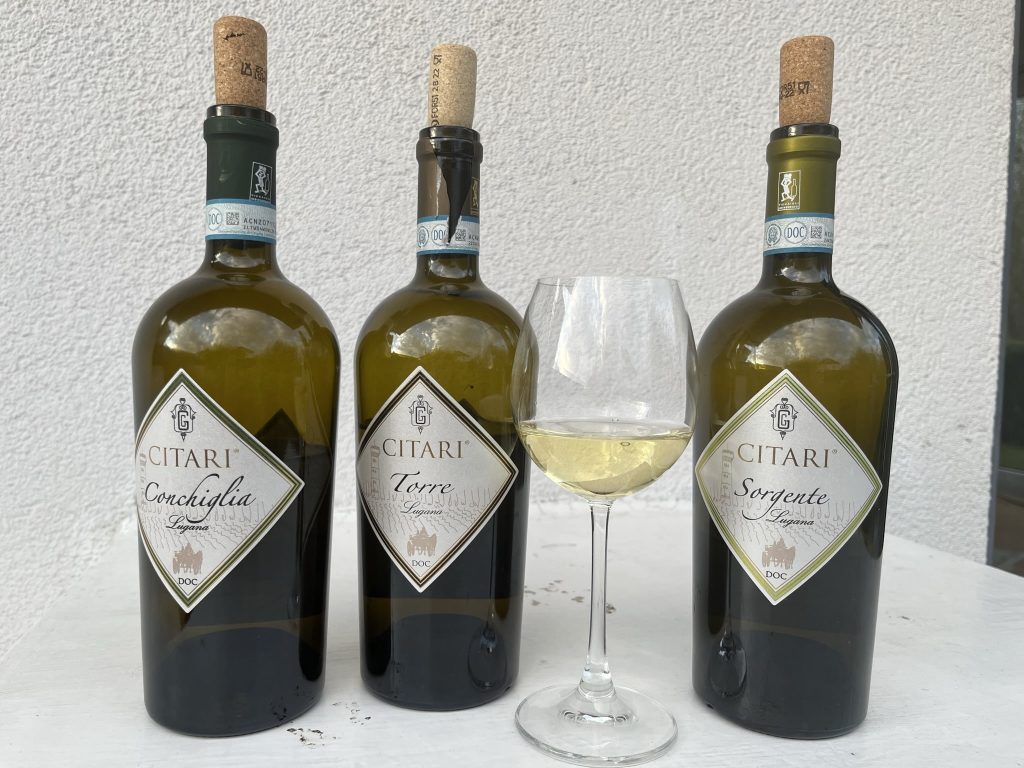 Lugana Weine im Test - Discounter Lugana gegen Weinistgeil | Weißweine