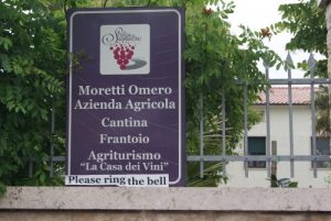 Sagrantino