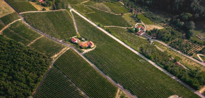 Dante Rivetti-Weingut-Neive-Piemont